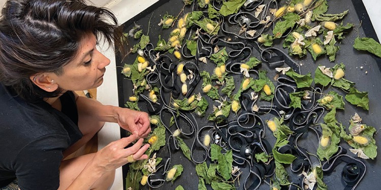 MUJERES TRABAJADORAS. El Parque del Conocimiento invita a la muestra que reúne el trabajo de reconocidas artistas.