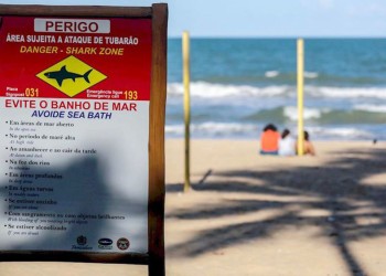 Una playa brasileña registra dos ataques de tiburones en 24 horas