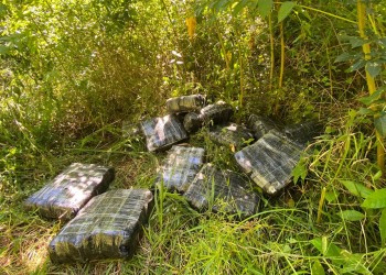 Incautaron más 190 kilos de marihuana en Colonia Victoria