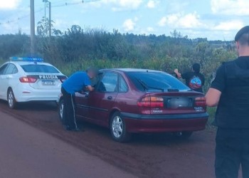 Con el auto en marcha, arrojaron a una gata y sus crías a un baldío 