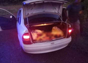 Los sorprendieron con carne de cerdo faenada ilegalmente