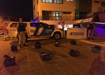 Secuestran más de 113 kilos de marihuana en la zona ribereña de Posadas