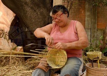 Tejer con cañas: un arte milenario al borde de la extinción