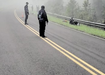 Grave tras chocar su moto con vaca