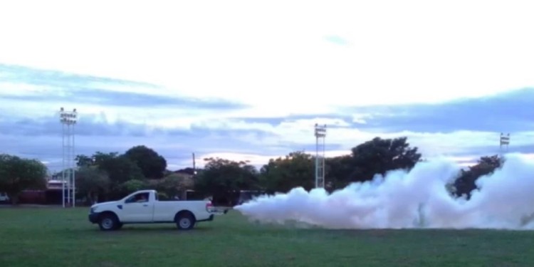 VIRAL. Hay casos autóctonos en Buenos Aires, CABA, Formosa y Córdoba.