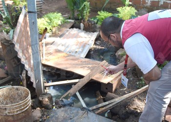 Casos de chikungunya siguen en ascenso en Misiones y ya son 37 los confirmados