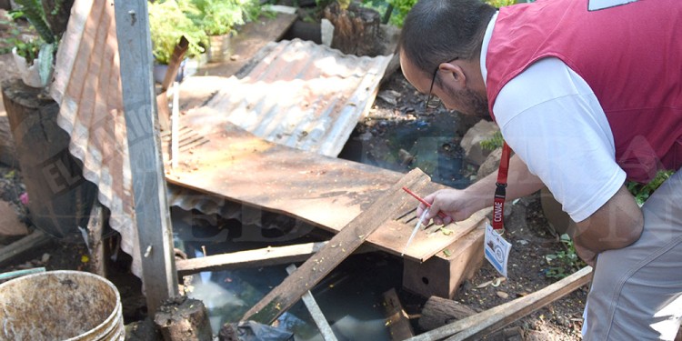 ERRADICAR. Mantener patios libres de recipientes con agua para evitar la proliferación del mosquito Aedes aegypti.