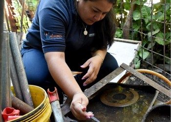 Misiones reportó dos casos autóctonos de chikungunya en Puerto Iguazú