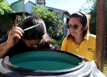 La provincia notificó cinco casos confirmados de dengue