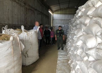 En allanamientos simultáneos en Misiones y Chaco desarticulan organización dedicada al contrabando de granos