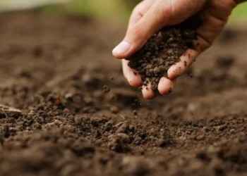 Emergencia en el agro de Corrientes