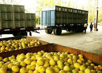 Las cooperativas agroalimentarias quieren fortalecer su actividad