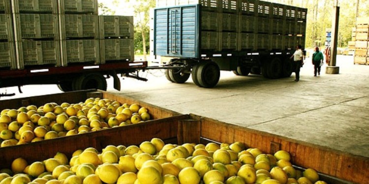 EVALUACIONES. El taller giró en torno a la identificación de fortalezas, oportunidades, y debilidades del sector.