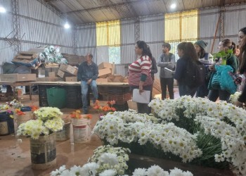 Estudiantes analizan las demandas y potencialidades de la floricultura