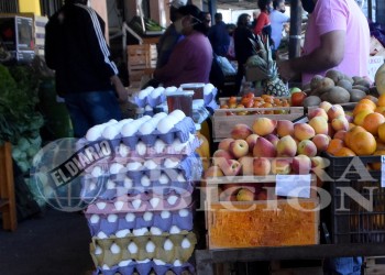 Ferias con escasez de carnes, huevos y fécula de mandioca