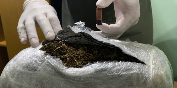 Hallaron casi 9 kilos de marihuana en la baulera de un micro