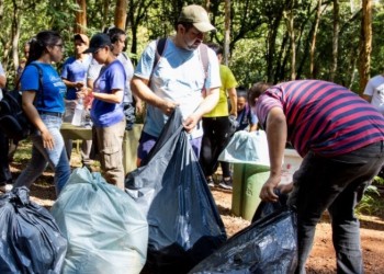Invitan a plogging en Puerto Iguazú