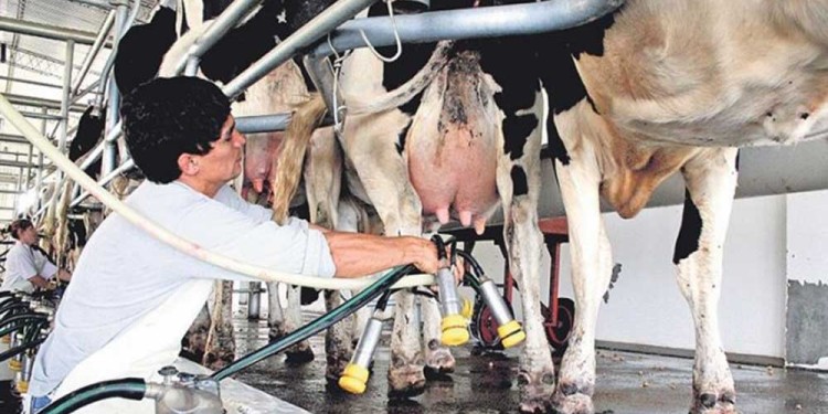 Primer semestre para el olvido.