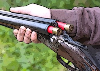 Colonos con armas para defenderse de los robos, nuestro editorial de hoy