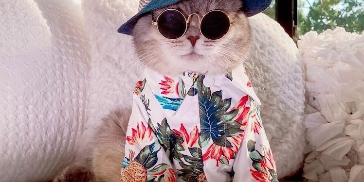 Benson, de la calle a modelo top.