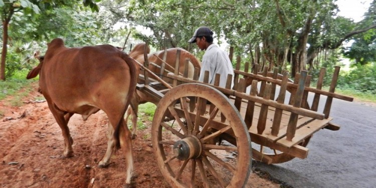 (Imagen ilustrativa, sin relación con el hecho de la nota)