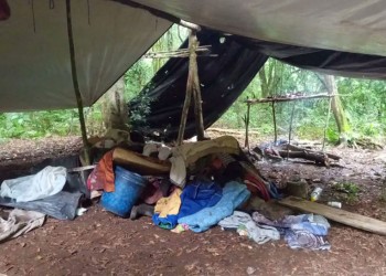 Destruyen 17 campamentos de cazadores furtivos en el Parque Provincial Urugua-í