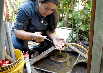 Misiones: suben a 21 los casos de chikungunya  y hay 13 en estudio
