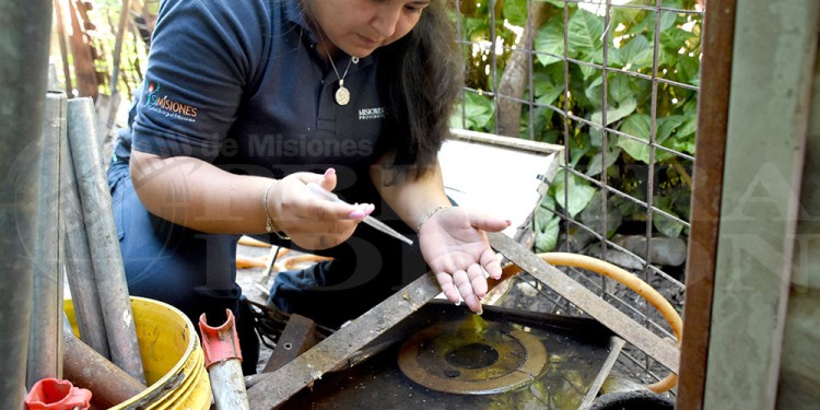 CONTROL. En algunos municipios, como en la ciudad de Córdoba, se aplican multas a propietarios de casas abandonadas y se hacen allanamientos.
(Archivo)