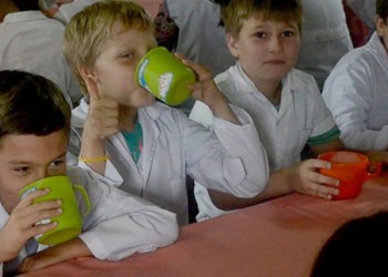 Buscan extender el Yogurito Misionero a más municipios, pero faltan productores