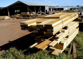 Exportaciones del NEA: Misiones perdió el liderazgo a manos de Chaco