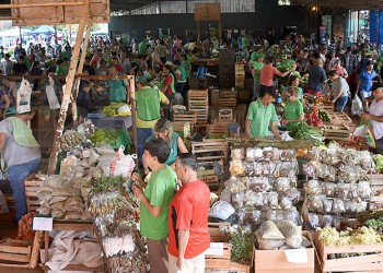 Gripe aviar: Misiones pedirá exceptuar de las restricciones a los feriantes
