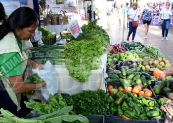 Emprendedores y feriantes con altas ventas en Posadas