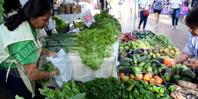 FORMACIÓN PARA EL SECTOR. Los productores y emprendedores podrán adquirir nuevas herramientas de aprendizaje y recursos para implementar en sus trabajos.