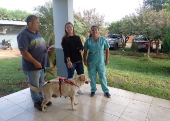 “No sé si este dolor tendrá fin algún día, pero estas perritas son mi mejor terapia”