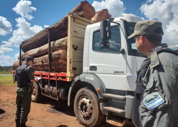 Incautaron cargamento de madera nativa