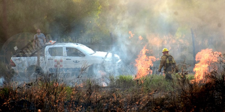 DAÑOS. Misiones sufrió importantes pérdidas en su ecosistema en 2021 y buscan prevenir nuevos incidentes.