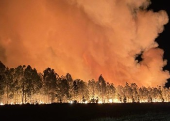 Descontrolado incendio de grandes proporciones hace estragos en Ituzaingó
