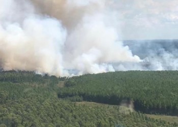 Incendio en Ituzaingó quemó ya entre 2.000 y 3.000 hectáreas