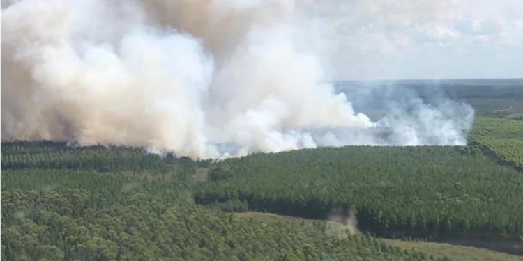 Fotos extraídas del Twitter de Luis Martínez