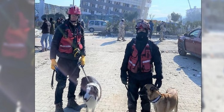 Indio y Akira son los rescatistas argentinos.