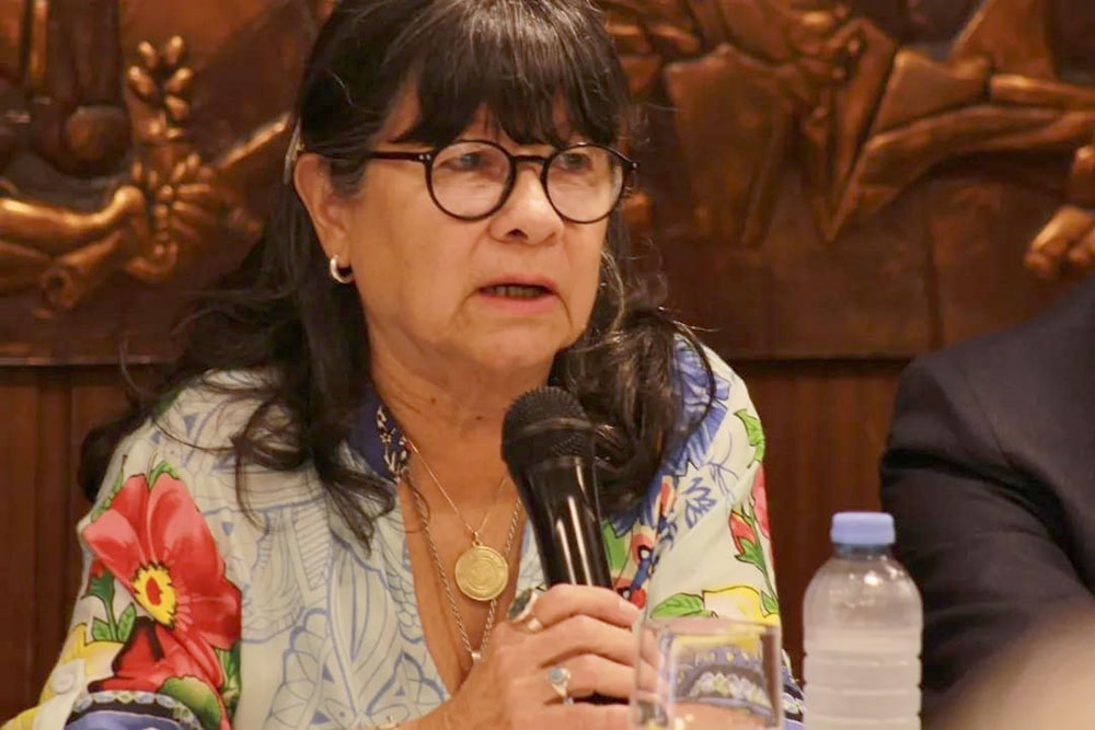 Elecciones en Misiones: Julia Perié, nueva candidata a gobernadora -  Primera Edición