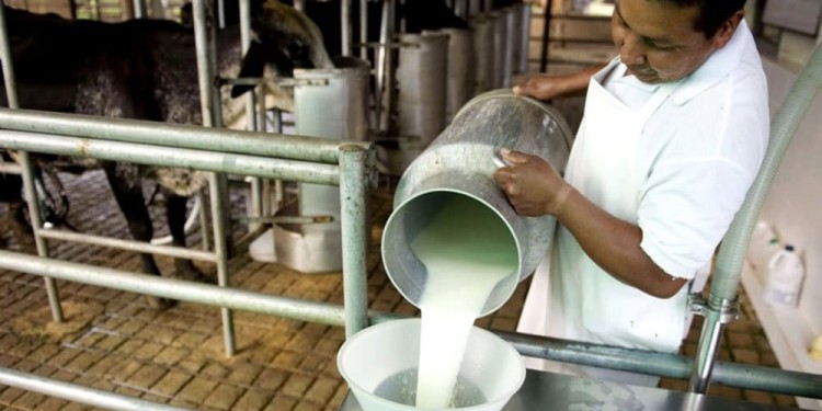 PICO DE DEMANDA. Señalan que “ni produciendo 10 veces más” se podría cubrir la demanda de lácteos.