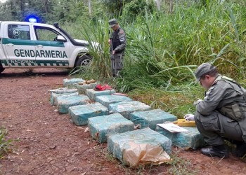 Incautó más de 300 kilos de marihuana en Colonia Victoria