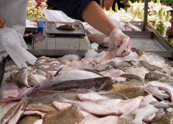 Controlarán a comercios posadeños que venden pescados