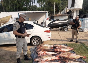 Otra vez Itatí: el auto del intendente, cargado de pesca ilegal