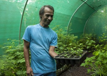 Aldea guaraní de Iguazú fue certificada oficialmente como productora de semillas nativas