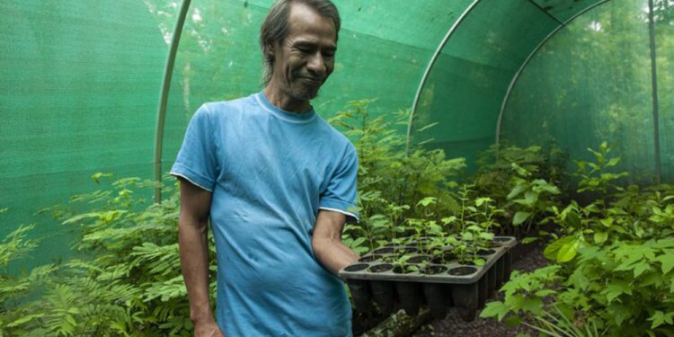 (Foto: Argentina Forestal)