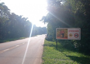 El circuito aeróbico hasta Cataratas comenzará a construirse en abril