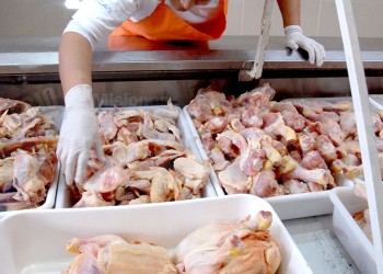 Por la gripe aviar, algunos cortes premium de pollo suben casi 90%