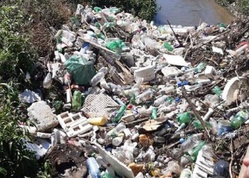 Se viene una nueva jornada de limpieza integral del río Uruguay